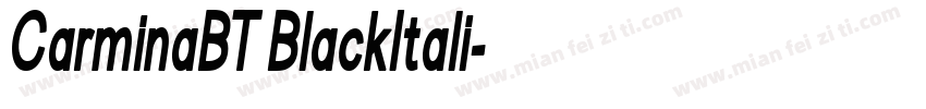 CarminaBT BlackItali字体转换